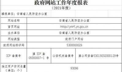 政府网站工作2021年度报表